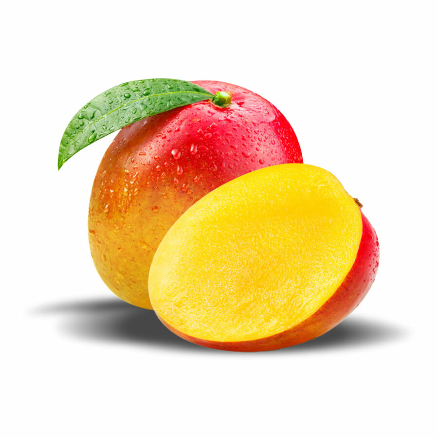 Mango Palmeral