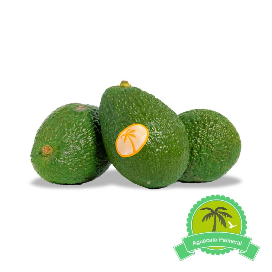 Palmeral - Aguacates