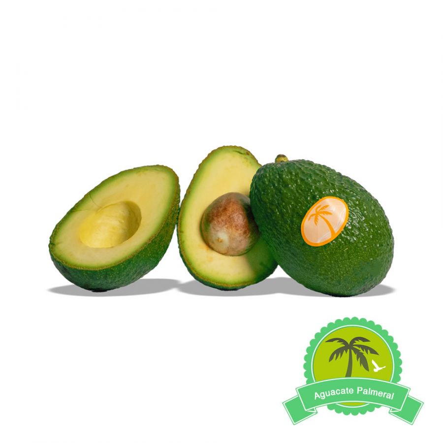 Palmeral - Aguacates